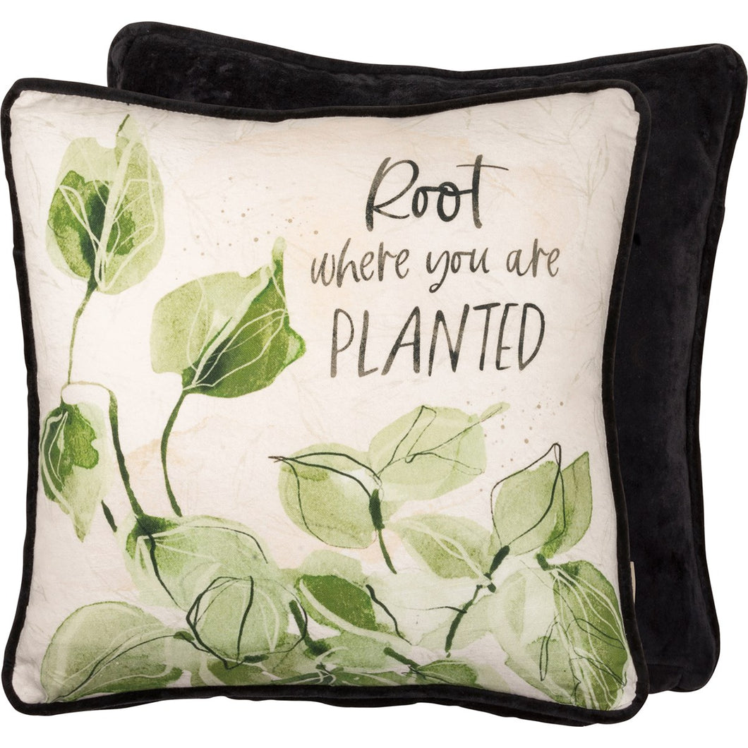 Root Where You Are Planted Pillow