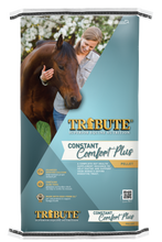 Horse Feed