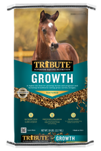 Horse Feed