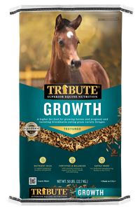 Horse Feed