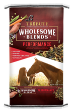 Horse Feed