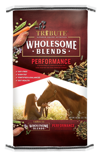 Horse Feed